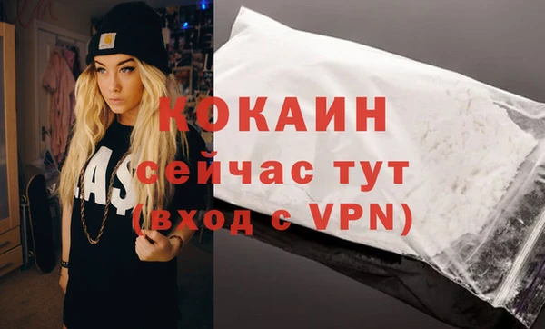 спайс Богданович