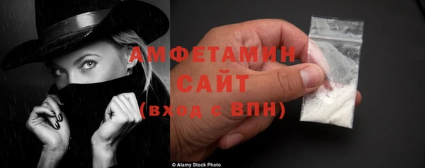 крисы Богородицк