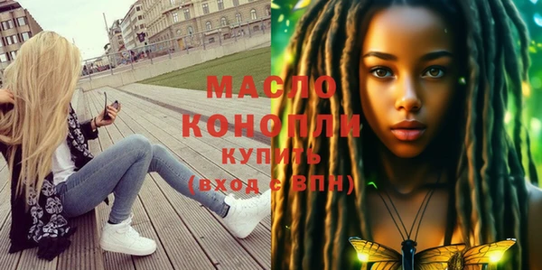 крисы Богородицк