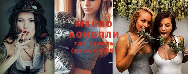 крисы Богородицк