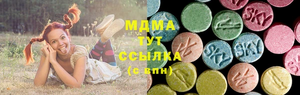 крисы Богородицк