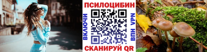 Купить закладки  Махачкала  Галлюциногенные грибы прущие грибы 